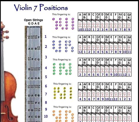 Violin Note Chart Poster TigaswX