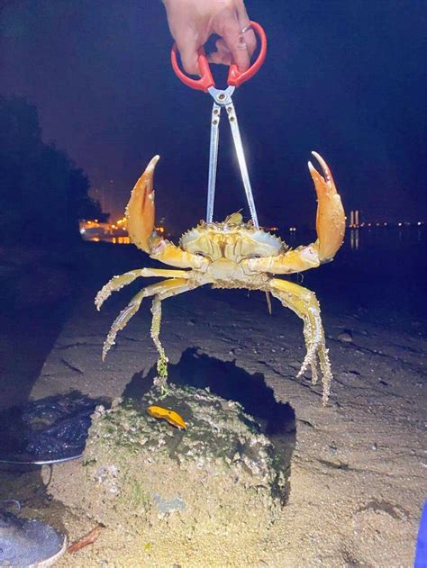 日照旅游看海赶海体验，海边景点，旅行日记