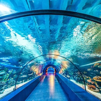 Antalya Aquarium Entrance Ticket Optional Transfer