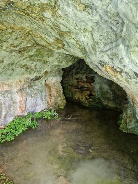 La Cueva de la Hiedra una misteriosa cavidad en Cortes de Pallás con