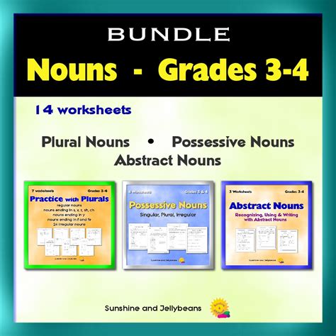 Nouns Bundle Grades 3 4 Plural Possessive Abstract 14