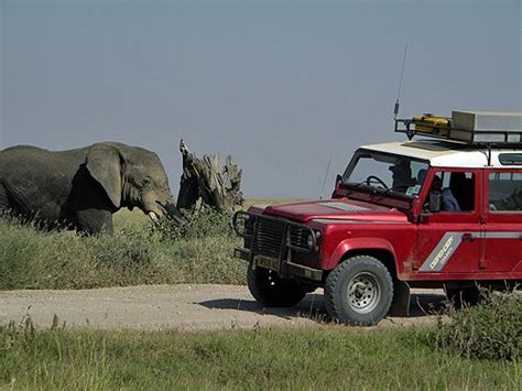 5 Best Things About Booking A Safari With Africa Expedition Support