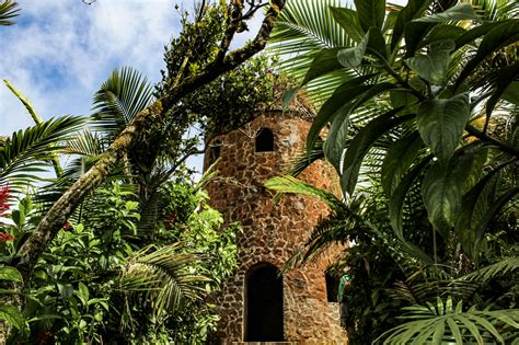 How To Spend A Day In El Yunque Puerto Rico Lonely Planet