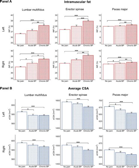 Investigating The Associations Between Lumbar Paraspinal Muscle Health