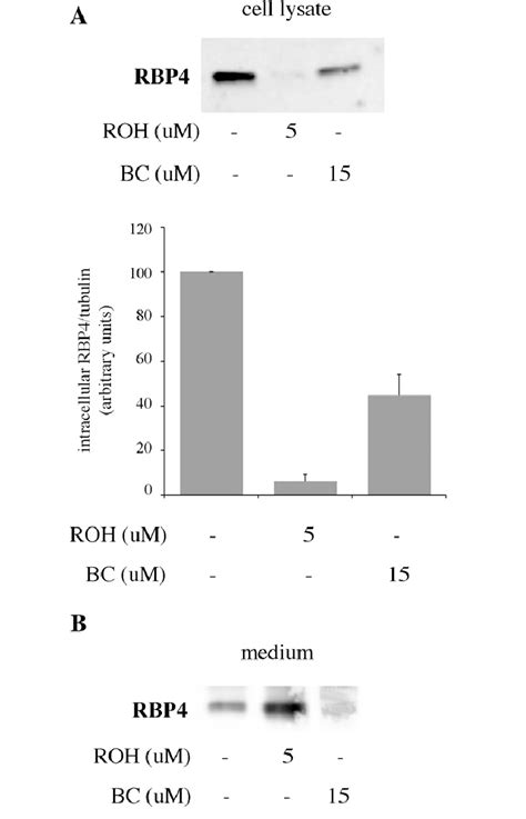 Bc And Roh Treatment Induce Secretion Of Rbp4 In 3a Cells Confluent