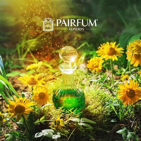 The Elixir Perfume: Demystifying the Fragrance Elixir in Perfumery
