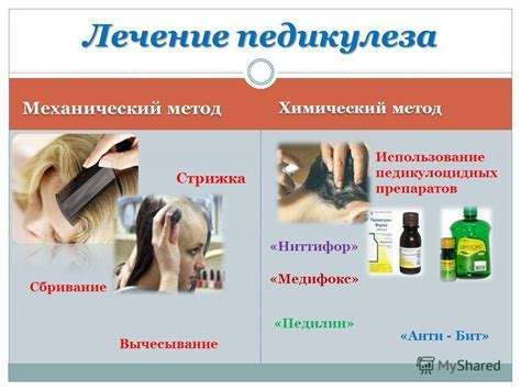 Профилактика педикулеза у детей: народные и специализированные средства ...