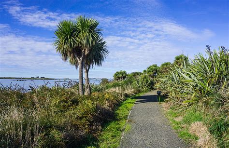 7 Of The Best Things To Do In Bluff Southland See The South Island