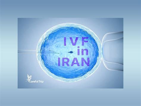 IVF Treatment In Iran Vitro Fertilization Destination Iran