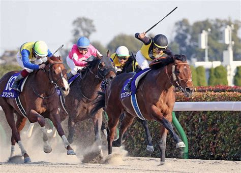 ＜フェブラリーs＞フェブラリーsを制したルメール騎乗のカフェファラオ（右）＝撮影・西川祐介 ― スポニチ Sponichi Annex ギャンブル