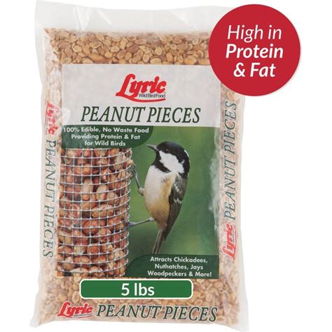 Kaytee Shelled Peanuts Wild Bird Food 6 Lb Bag