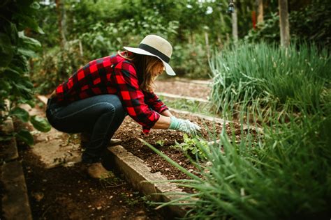 Ammonium Sulfate: A Solution for Alkaline Soils - Supply Solutions, LLC