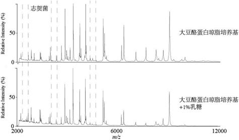 一种基于乳糖差异培养的近缘微生物质谱鉴定方法与流程