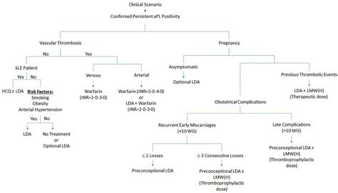 Management Of Antiphospholipid Syndrome Annals Of The Rheumatic Diseases