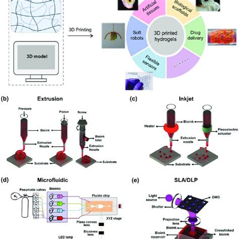 A The 3D Printing Of Hydrogels For Various Biomedical Applications