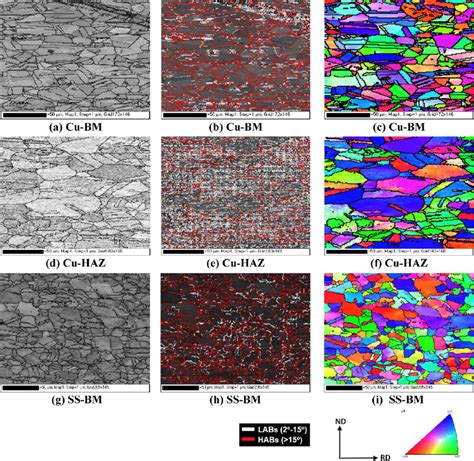 A Ebsd Image Quality Iq Map T D D I F F B Iq Map With