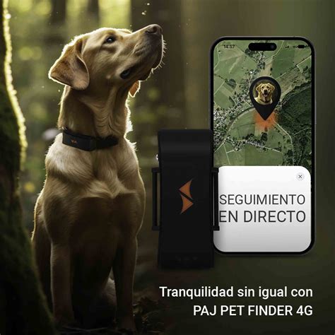 Tienda de Localizadores GPS de PAJ: Envío gratuito
