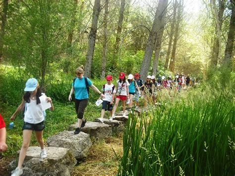 Tipos De Campamentos De Verano Para Ni Os