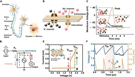 Frontiers Engineering Spiking Neurons Using Threshold Switching