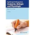 Anatomie Biologie und Physiologie Ergotherapie Prüfungswissen