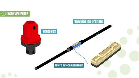 Riego Por Goteo Subterr Neo En Qu Consiste Este Sistema De Riego