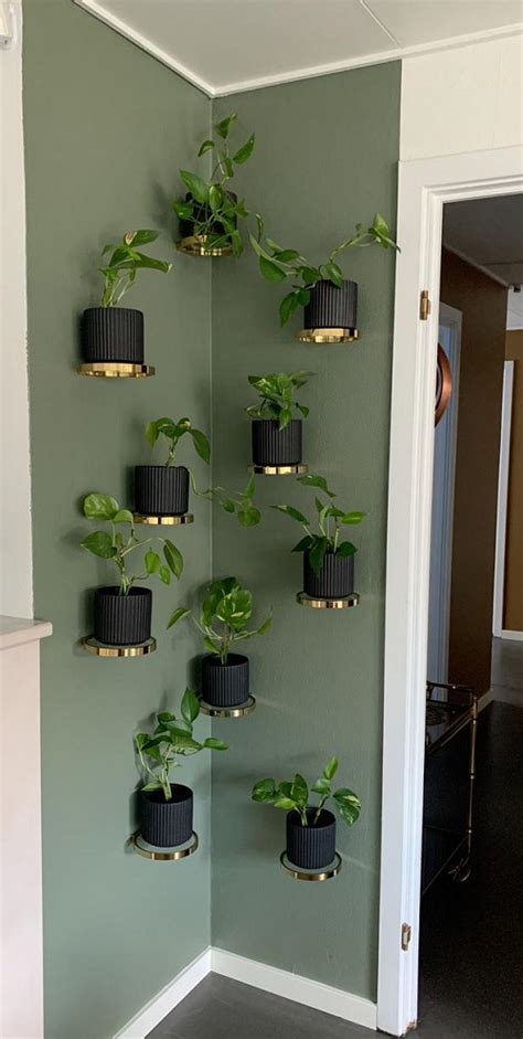 15 Creative Pothos Wall Decor Ideas For A Stunning Decor Indoor Garden Web