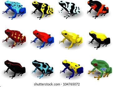 Set Poison Arrow Frog Vector Illustration Stock Vector Royalty Free