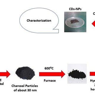 Schematic diagram of the synthesis of carbon dots | Download Scientific ...