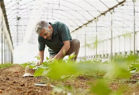 FarmBOX monitors the best growing conditions - Geeky Gadgets