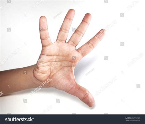 Hand Palm Isolated On White Background Stock Photo 557700727 Shutterstock