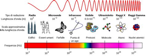 simpatia Indulgere Artù le frequenze delle radio flotta Rafflesia