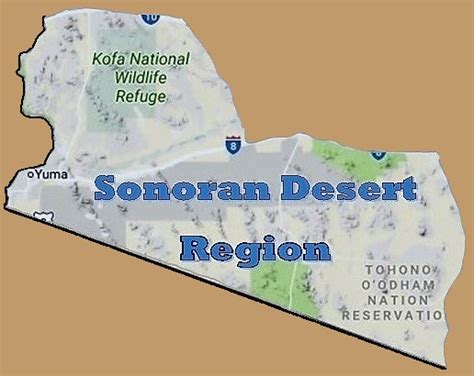 Az Camp Guide Sonoran Desert Region