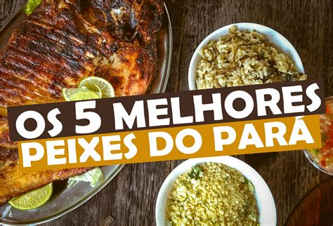 Os Melhores Peixes Do Par Filhote Pirarucu E Mais