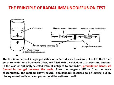 Antigen Antibody Reactions And Selected Tests Online Presentation