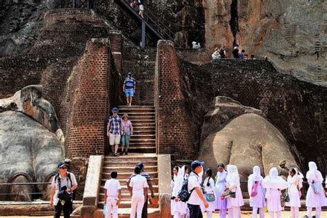 Van Bentota Dagtocht Naar Sigiriya En De Dambulla Tempel Getyourguide