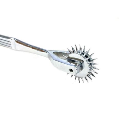 Rouge Stainless Steel Pinwheel Double Wartenberg Wheel Teasing Bdsm Sex Toy Ebay