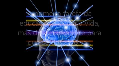 5 descobertas da neurociência que norteiam a pedagogia Montessori YouTube