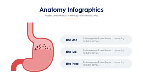 Anatomy Slide Infographic Template S01122208 – Infografolio