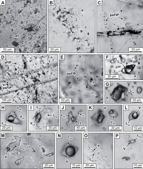 Transmitted Light Photomicrographs Of Fluid Inclusions Fis Hosted In