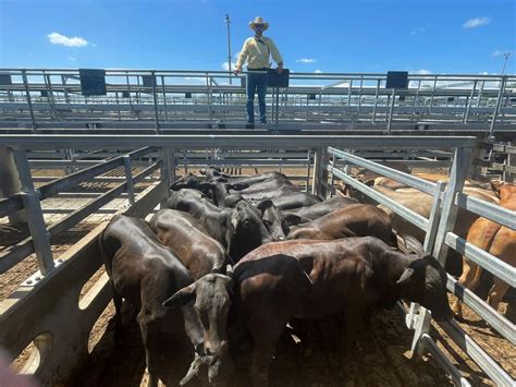 Cost Increases To Challenge Global Beef Demand Beef Central