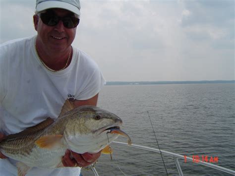 Mobile Bay Fishing Report Feb 2015 Fly And Light Tackle Fishing