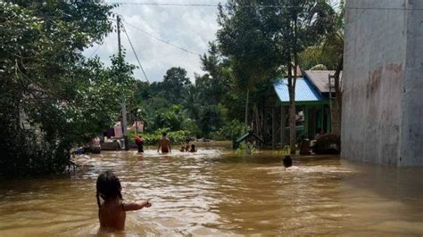 Banjir Di Kapuas Kalteng Desa Dan Kecamatan Bpbd Nyatakan Status