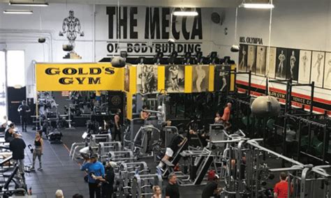 Top 10 Best Gyms In The World Thetop10sguy