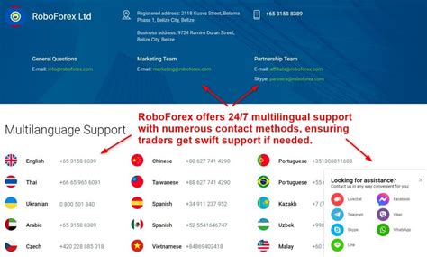 Roboforex Review Year Pros Cons Revealed