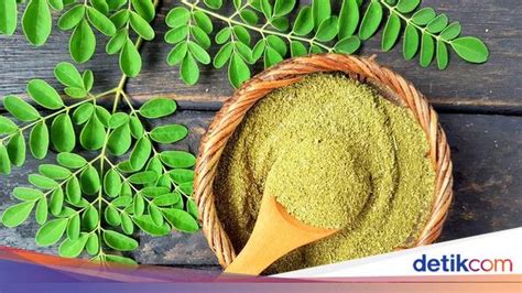 7 Cara Mengolah Daun Kelor Yang Benar Dapatkan Khasiatnya Secara Maksimal