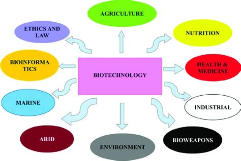 What Are The Research And Developmental Achievements In Applied