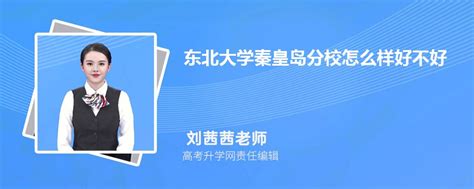 东北大学秦皇岛分校怎么样好不好什么档次、王牌专业、院校分数线