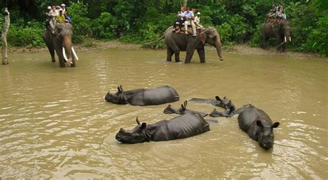 Chitwan National Park Wildlife Tour