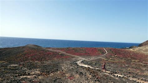 Album photo Sortie du 29 mars 2023 Montaña Roja 171m Tenerife