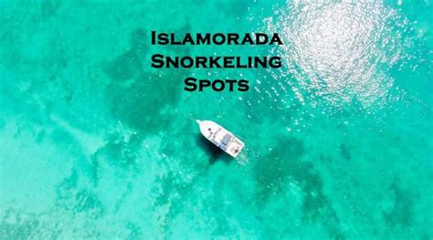 Recommended Snorkeling Spots In The Florida Keys